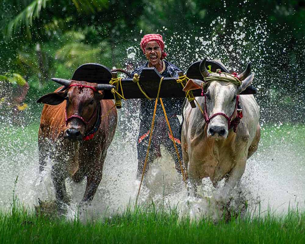 Women Farmers & Lakadong Turmeric: Journey of Strength & Success