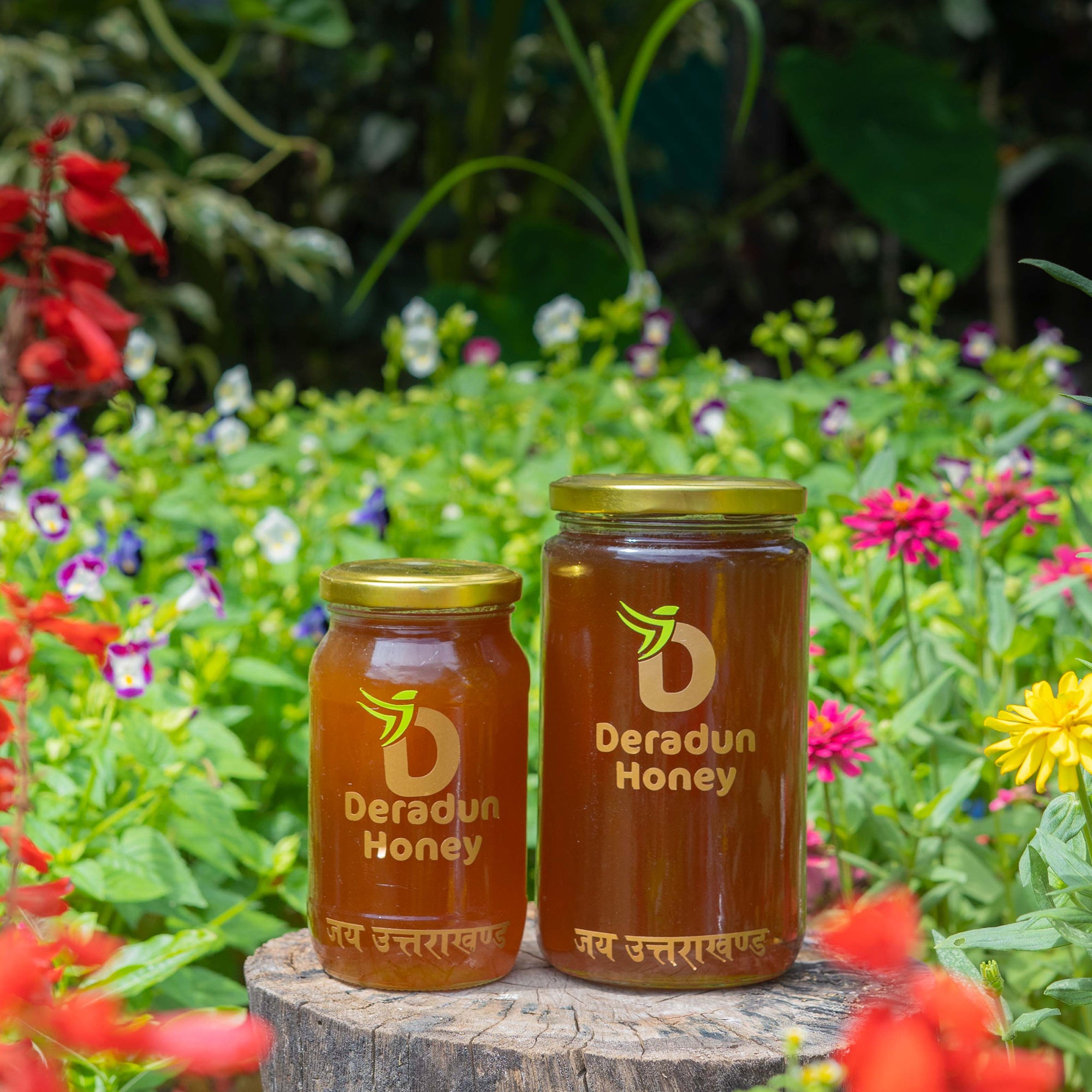 Litchi Flower Honey