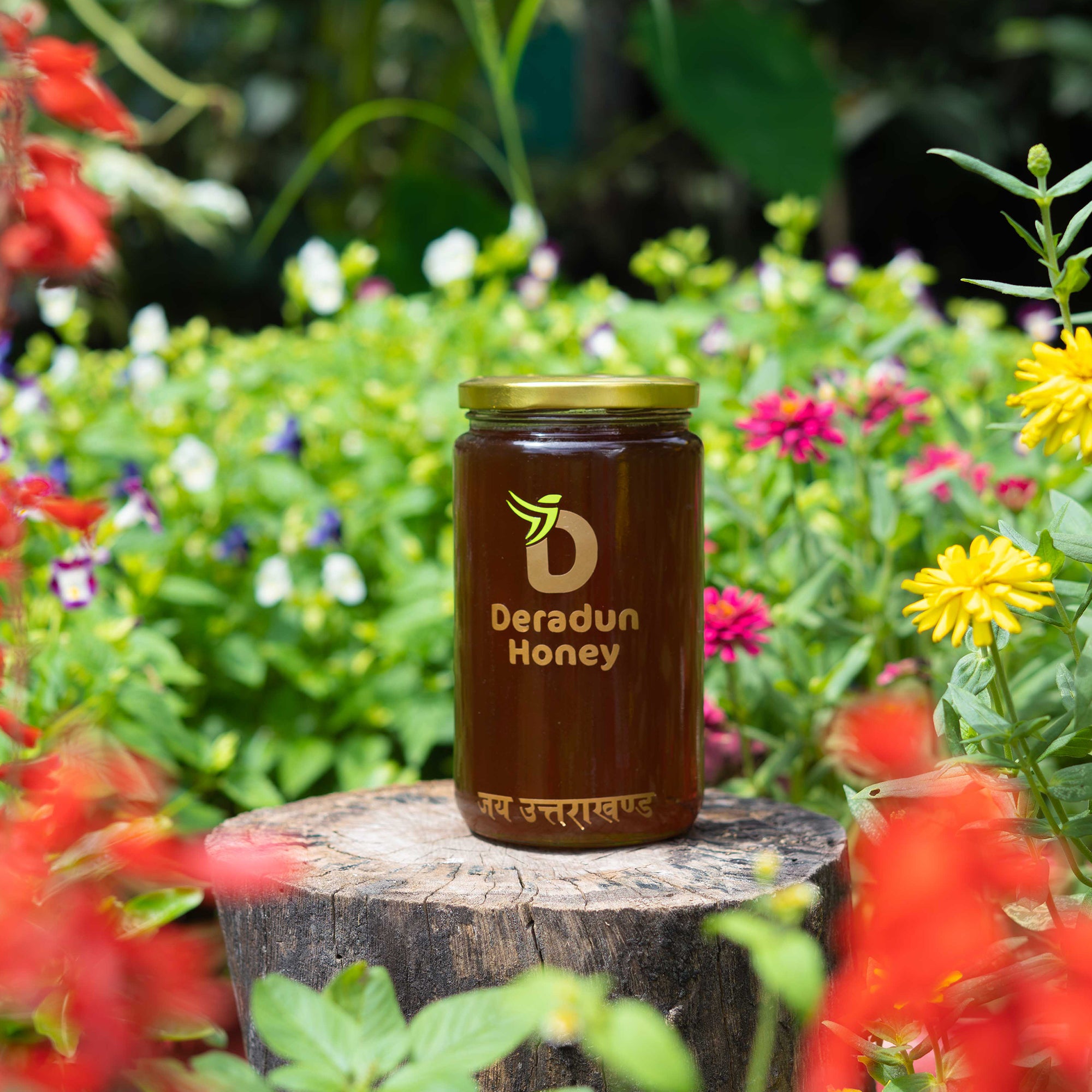 Jamun Flower Honey