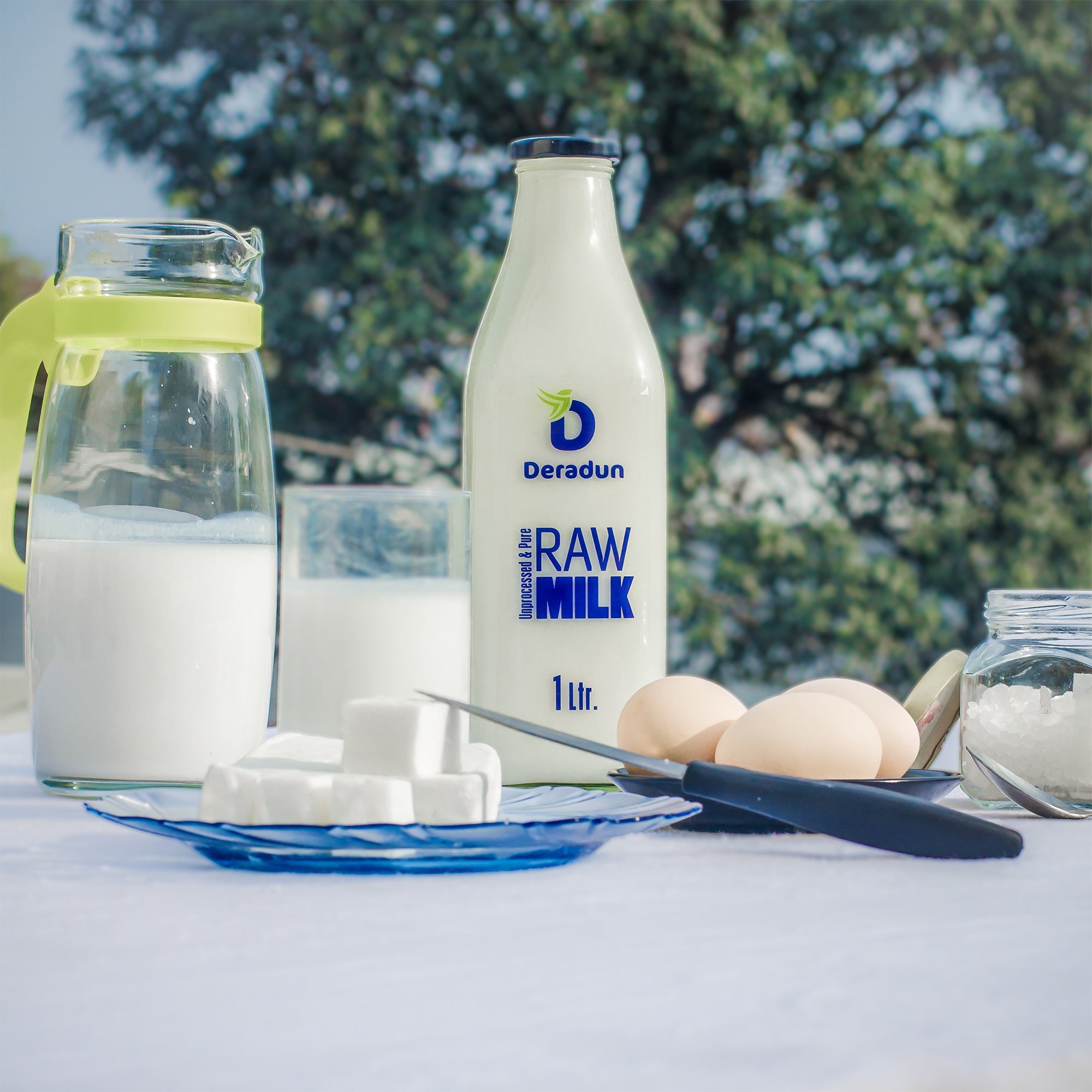 Deradun MilK